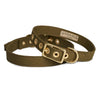 Animals in Charge All Weather Dog Collar Olive and Brass Large***-Habitat Pet Supplies