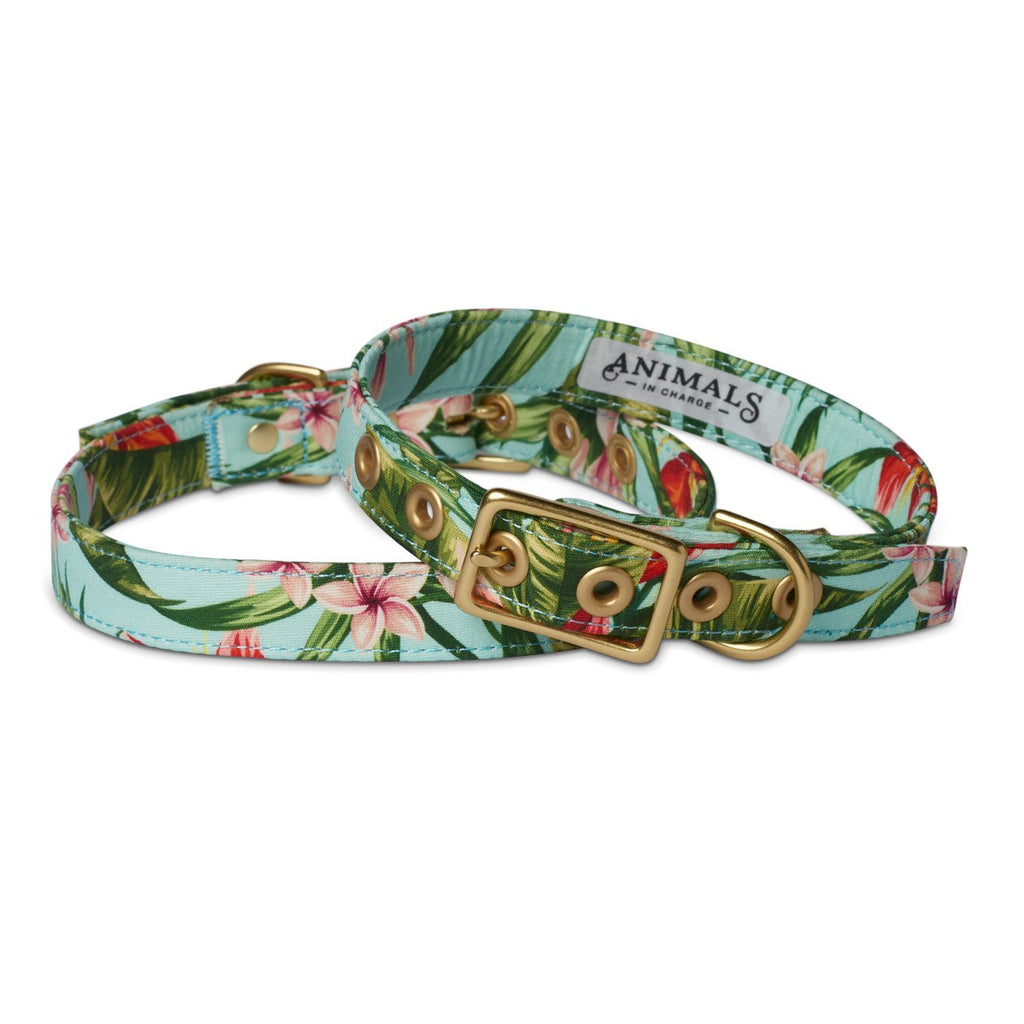 Animals in Charge Cafe Dog Collar Coastal Flower and Brass Small***-Habitat Pet Supplies