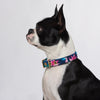 Animals in Charge Cafe Dog Collar Tropical Flower and Brass Medium***
