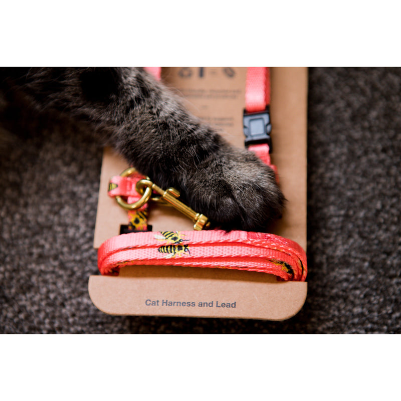 Anipal Bertie the Bee Recycled Cat Harness and Lead Extra Small