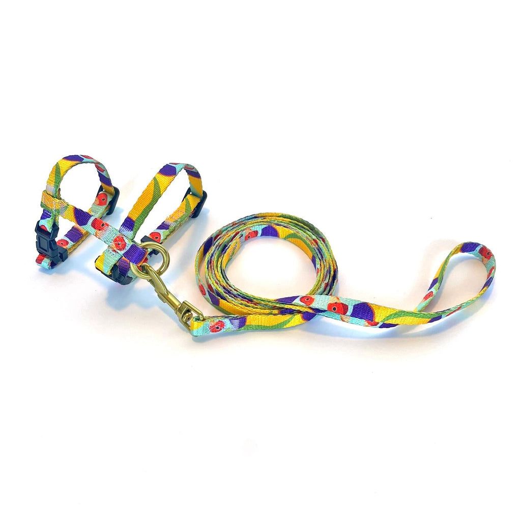 Anipal Gigi the Gouldian Finch Recycled Cat Harness and Lead Small^^^-Habitat Pet Supplies