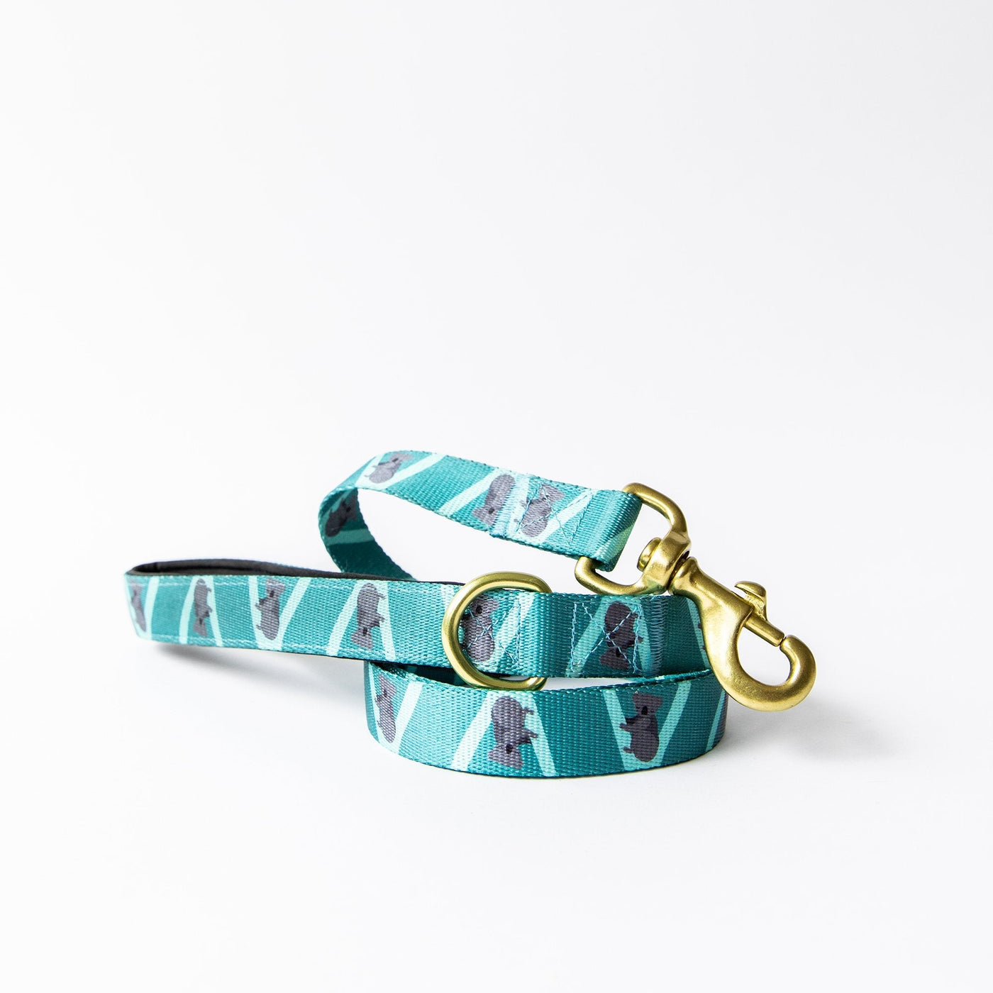 Dog leash deals supplies