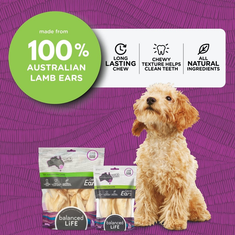 Balanced Life Grain Free Air Dried Lamb Ears Dog Treat 3 Pack*