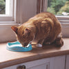 Beco Bowl Eco-Friendly Bamboo Cat Bowl Blue