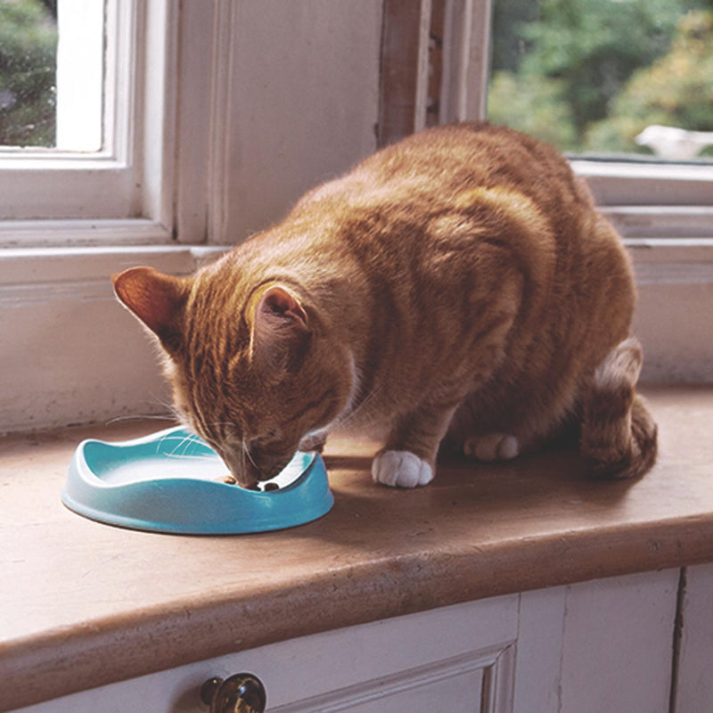 Beco Bowl Eco-Friendly Bamboo Cat Bowl Pink