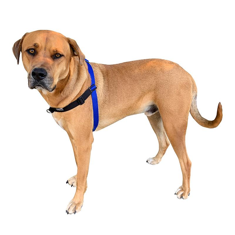 Black Dog Wear Balance Harness Red Small