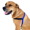 Black Dog Wear Balance Harness Red Small