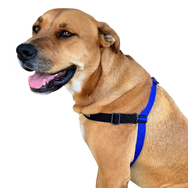 Black Dog Wear Balance Harness Red Small