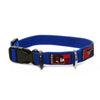 Black Dog Wear Standard Collar 24-36cm Small Blue 19mm***-Habitat Pet Supplies