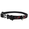 Black Dog Wear Standard Collar 33-53cm Medium Black 19mm***-Habitat Pet Supplies
