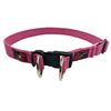 Black Dog Wear Standard Collar Super Strong 43-68cm Pink 25mm***