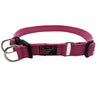 Black Dog Wear Standard Collar Super Strong 43-68cm Pink 25mm***-Habitat Pet Supplies