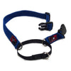 Black Dog Wear Training Collar 29-39cm Blue Small 20mm
