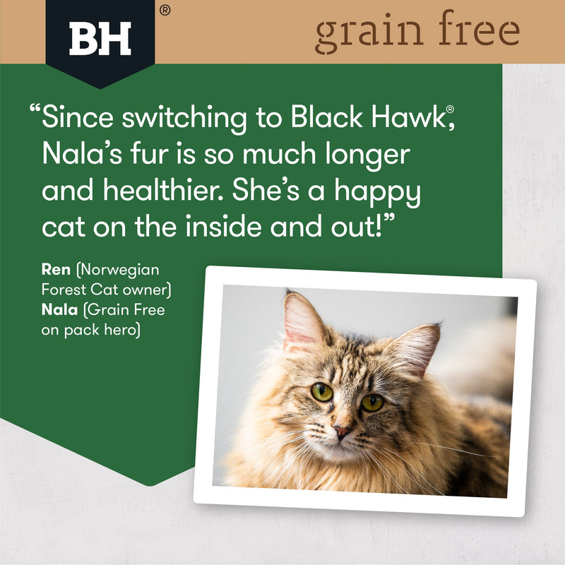 Black Hawk Grain Free Chicken and Turkey Dry Cat Food 6kg***