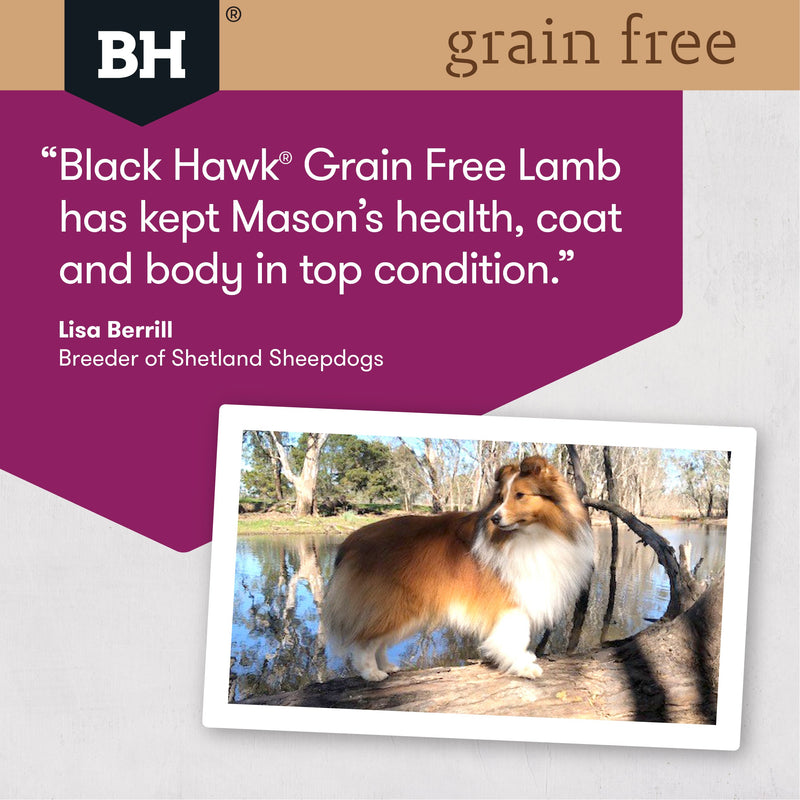 Black Hawk Grain Free Lamb Dry Dog Food 15kg