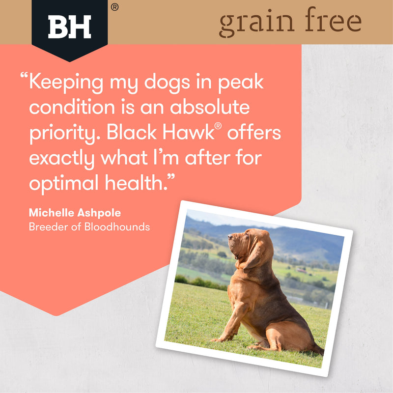 Black Hawk Grain Free Salmon Dry Dog Food 15kg