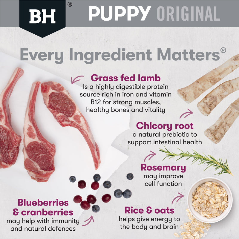 Black Hawk Lamb and Rice Medium Breed Puppy Dry Dog Food 10kg