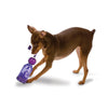 Busy Buddy Tug-A-Jug Dog Toy with Rope Small