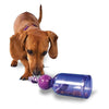 Busy Buddy Tug-A-Jug Dog Toy with Rope Small