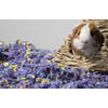 Carefresh Complete Comfort Care Confetti Paper Small Pet Bedding 10 Litre