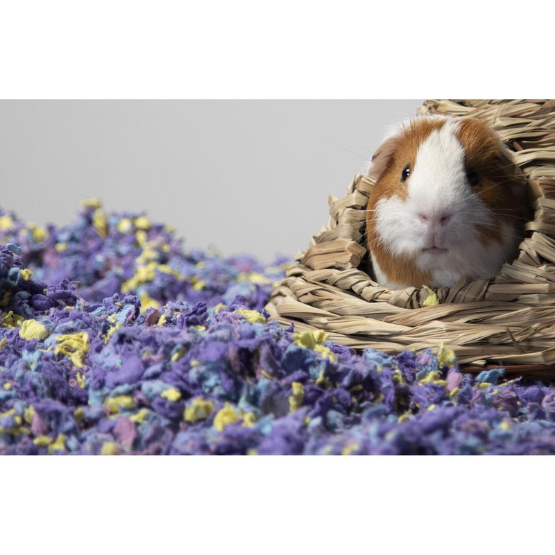 Carefresh Complete Comfort Care Confetti Paper Small Pet Bedding 10 Litre