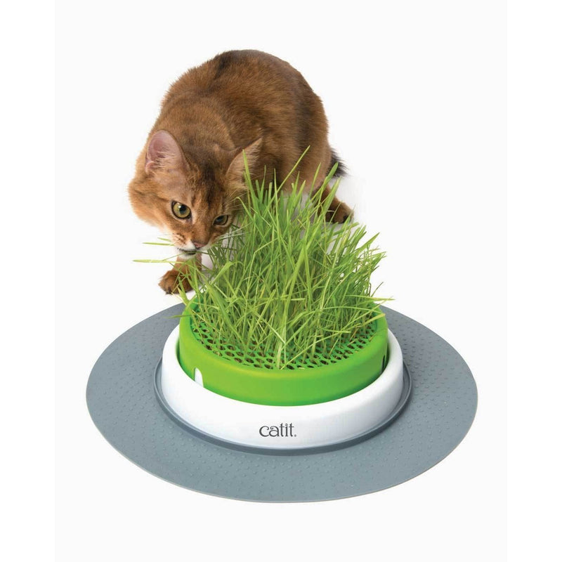 CATIT 2.0 GRASS PLANTER - Habitat Pet Supplies Altona & Chirnside Park