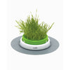 Catit Senses 2.0 Grass Planter-Habitat Pet Supplies