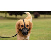 Company of Animals Baskerville Ultra Dog Muzzle Size 4