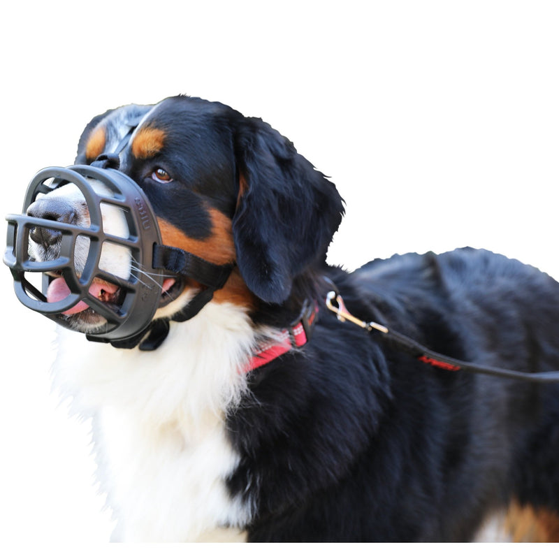 Company of Animals Baskerville Ultra Dog Muzzle Size 6