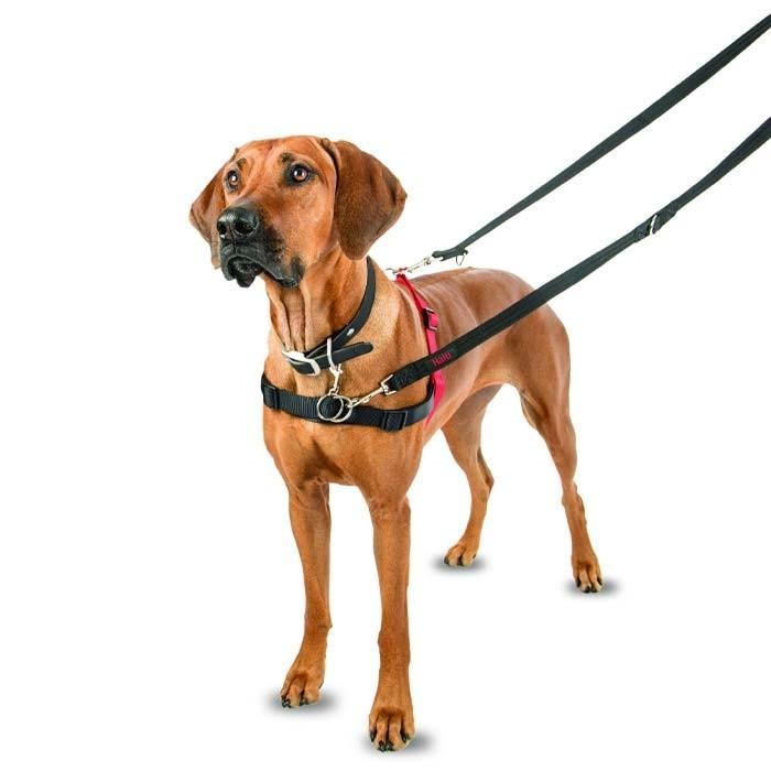 Company of Animals Halti Front Control Dog Harness Large***