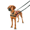 Company of Animals Halti Front Control Dog Harness Small***