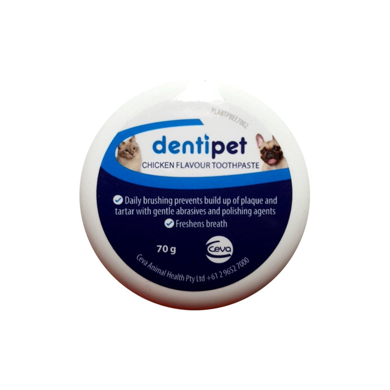 Dentipet Chicken Flavoured Toothpaste-Habitat Pet Supplies