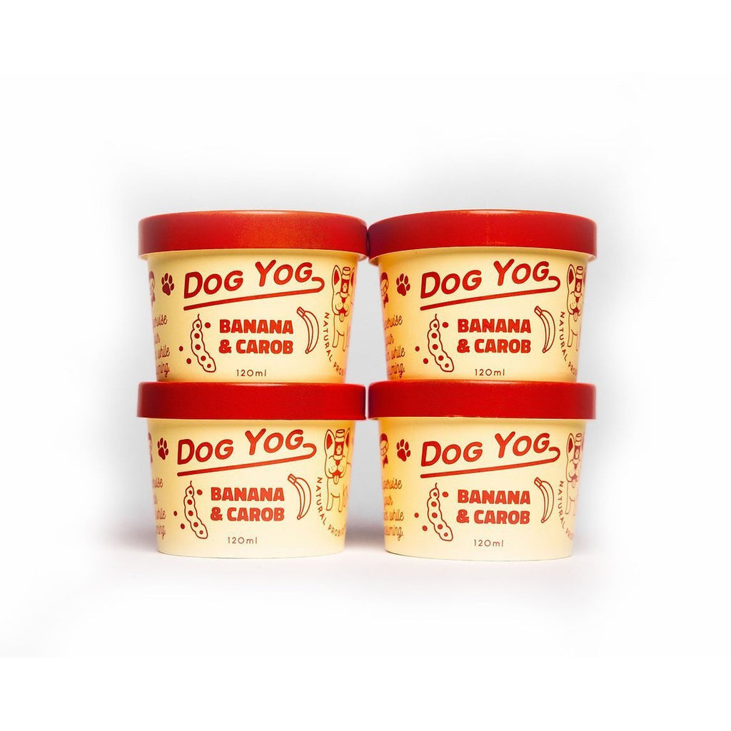 Dog Yog Frozen Banana and Carob Dog Ice Cream 4 Pack***-Habitat Pet Supplies