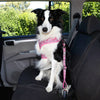 Doog Car Restraint Pongo