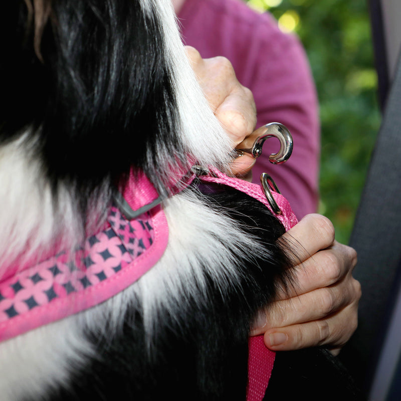 Doog Car Restraint Toto