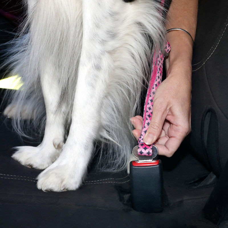 Doog Car Restraint Toto