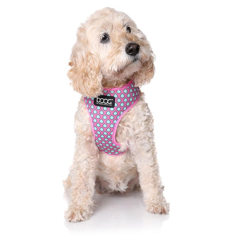 Doog Luna Neoflex Dog Harness Large