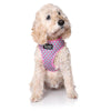 Doog Luna Neoflex Dog Harness Medium***
