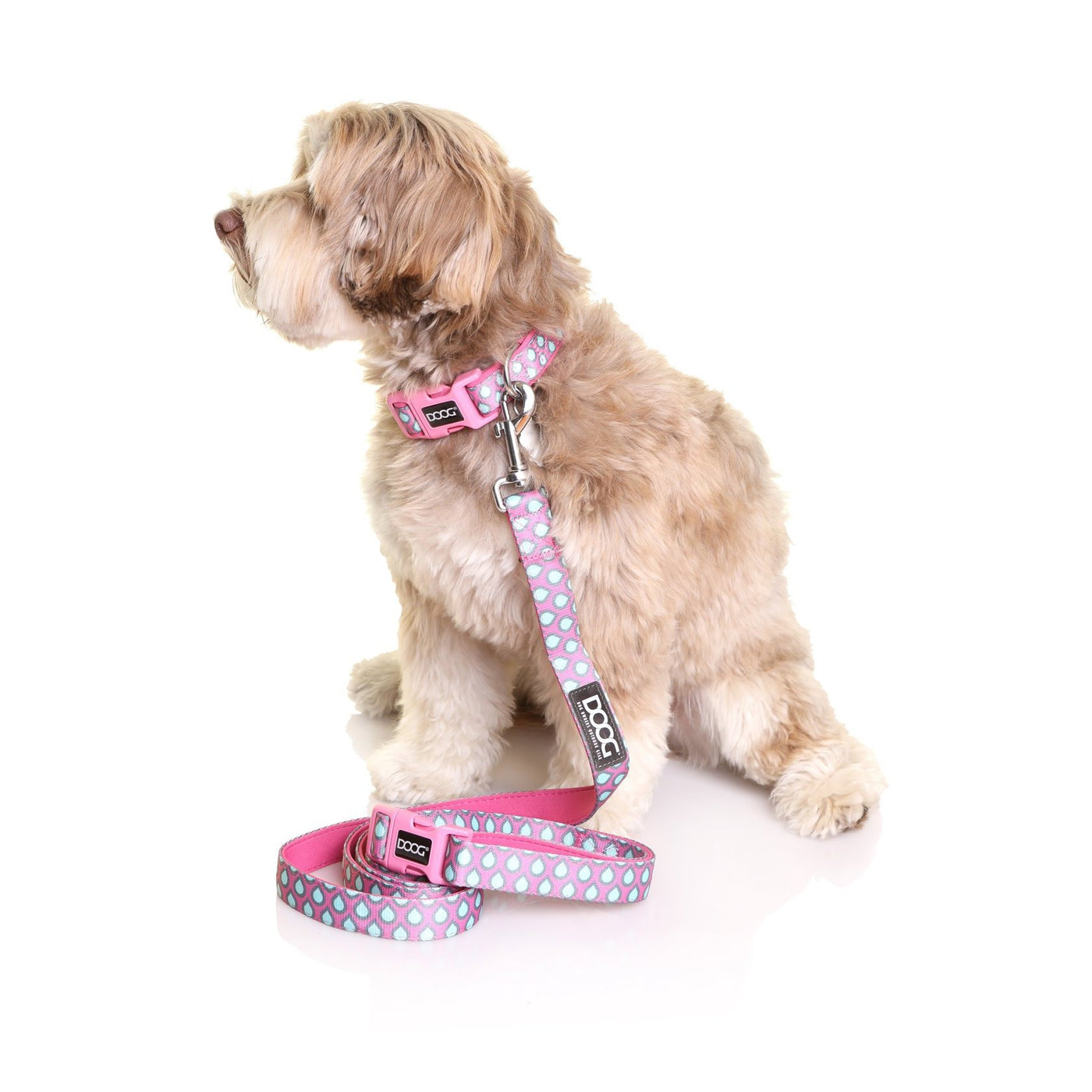 Luna sales dog collar