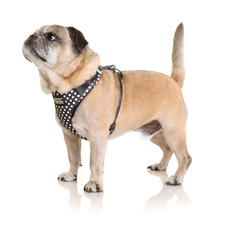 Doog Pongo Neoflex Dog Harness Large