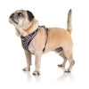 Doog Pongo Neoflex Dog Harness Small***