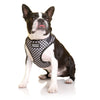 Doog Pongo Neoflex Dog Harness Small