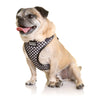 Doog Pongo Neoflex Dog Harness Small***