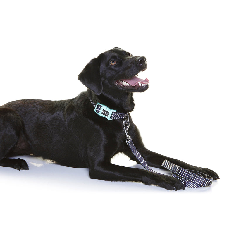 Doog Pongo Neoprene Dog Collar Medium