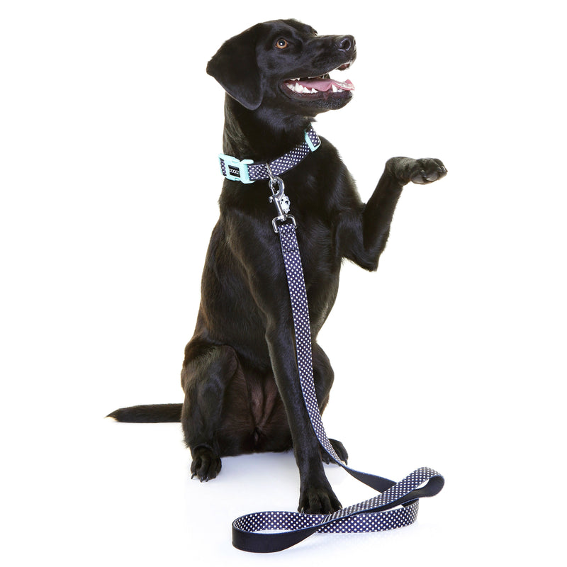 Doog Pongo Neoprene Dog Lead Small