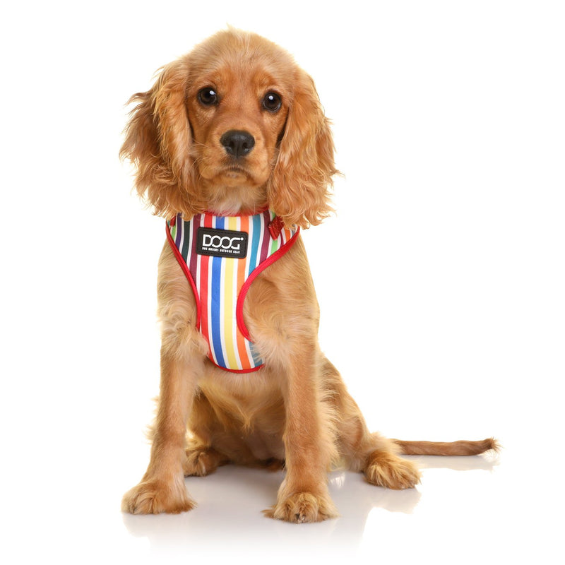 Doog Scooby Neoflex Dog Harness Large