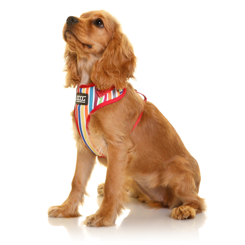 Doog Scooby Neoflex Dog Harness Large