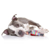 Doog Scooby Neoprene Dog Collar Medium