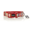 Doog Scooby Neoprene Dog Collar Medium-Habitat Pet Supplies
