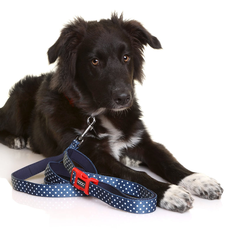 Doog Stella Clip It Neoprene Dog Lead Extra Large